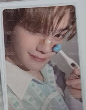 奎