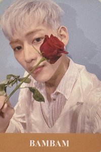 DYE 專輯卡 玫瑰卡