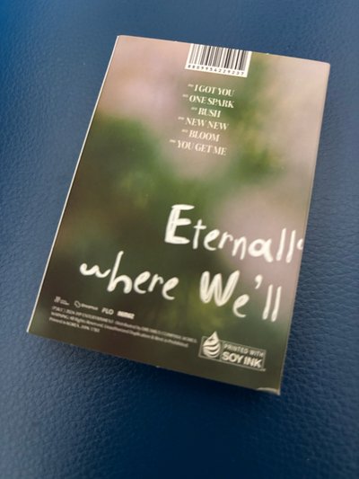 TWICE 迷13 電子專 定延