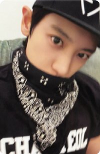 Reverxe compact ver 專輯卡 