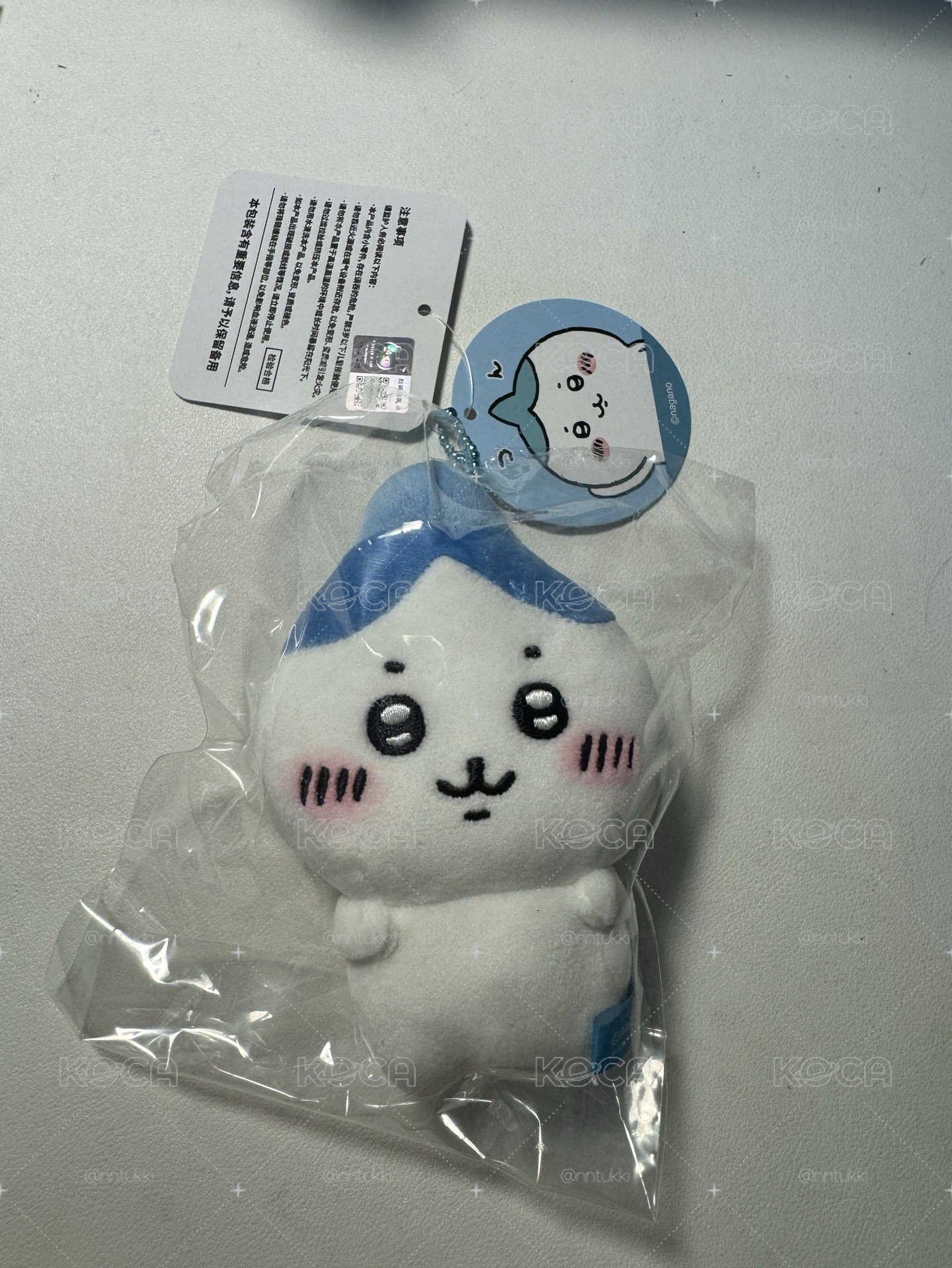 <天貓> 尖頭小八｜全新現貨 蒜頭小八 吉伊卡哇