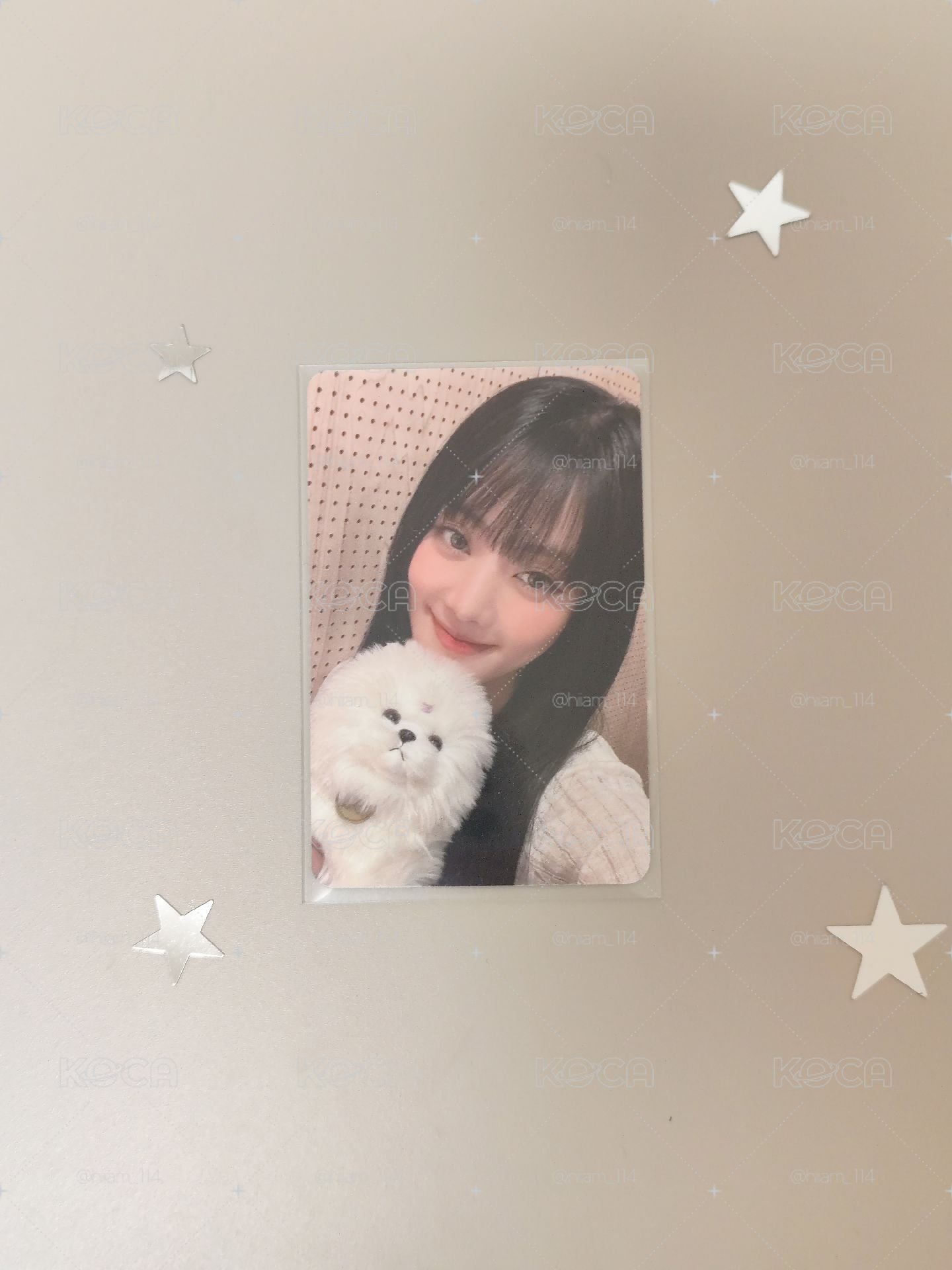 小狗妮