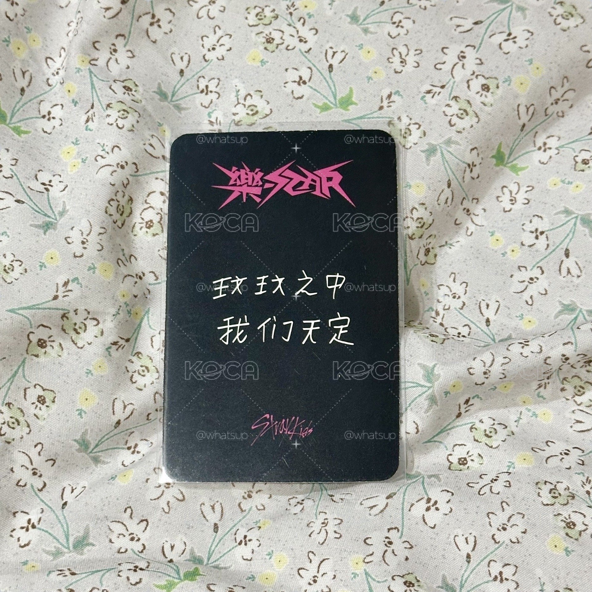 🧭Stray Kids - 樂-Star 星河中背 玟