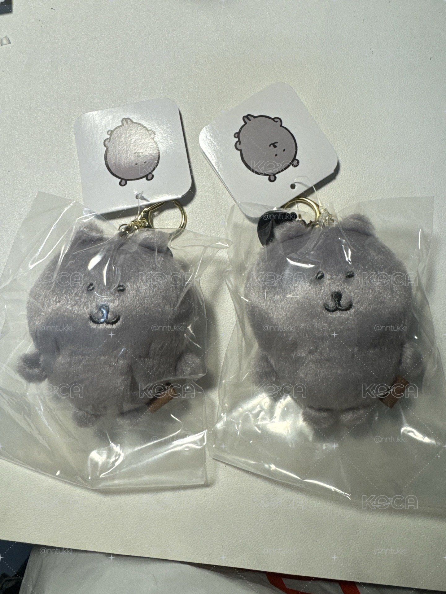 自嘲熊 灰熊｜全新現貨 顏色熊 ナガノ