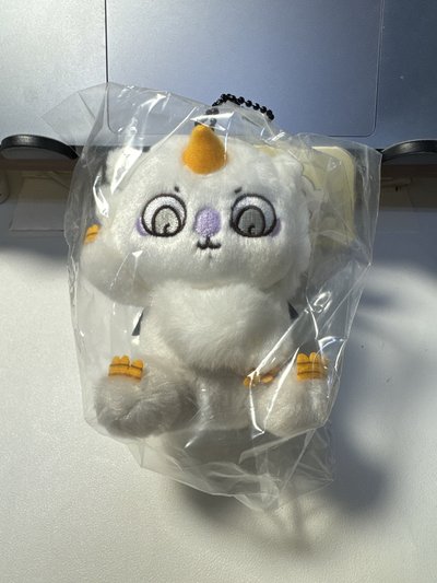 魔法那孩子｜全新現貨 吉伊卡哇