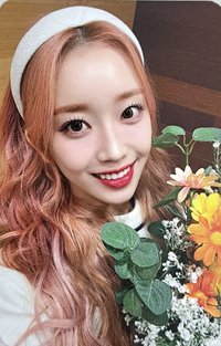 泰迪熊 ms 2.0 簽售卡 捧花珉