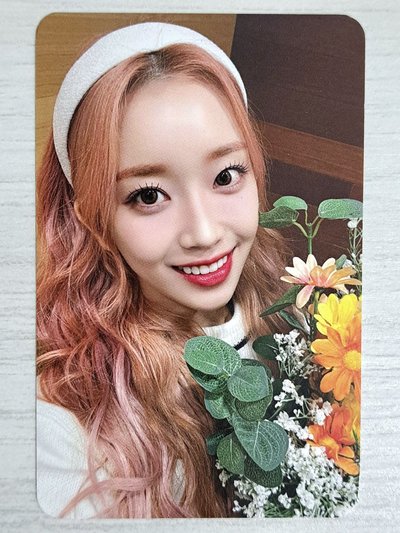 Teddy Bear ms 2.0 簽售卡 捧花珉