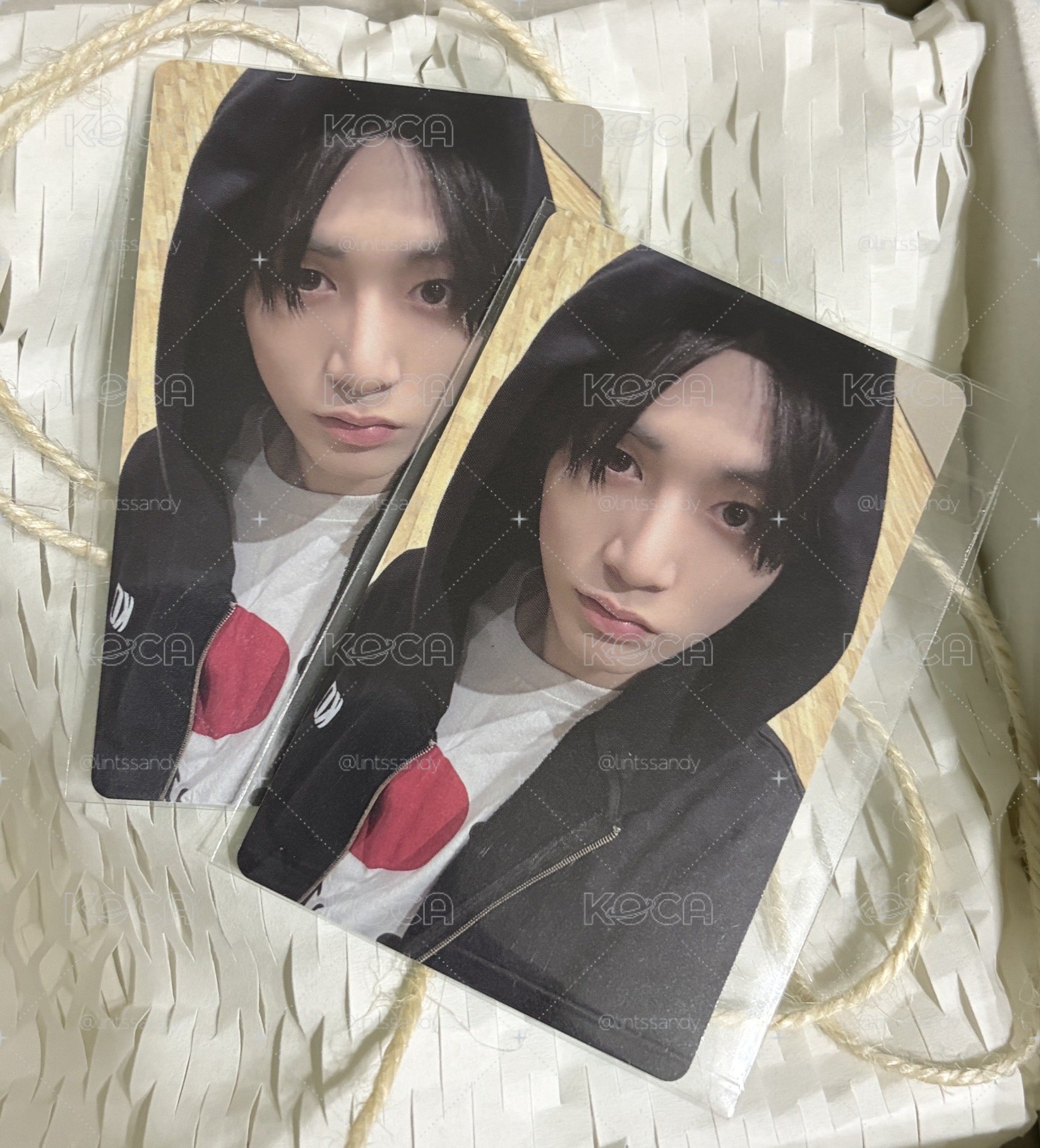Boynextdoor 小卡