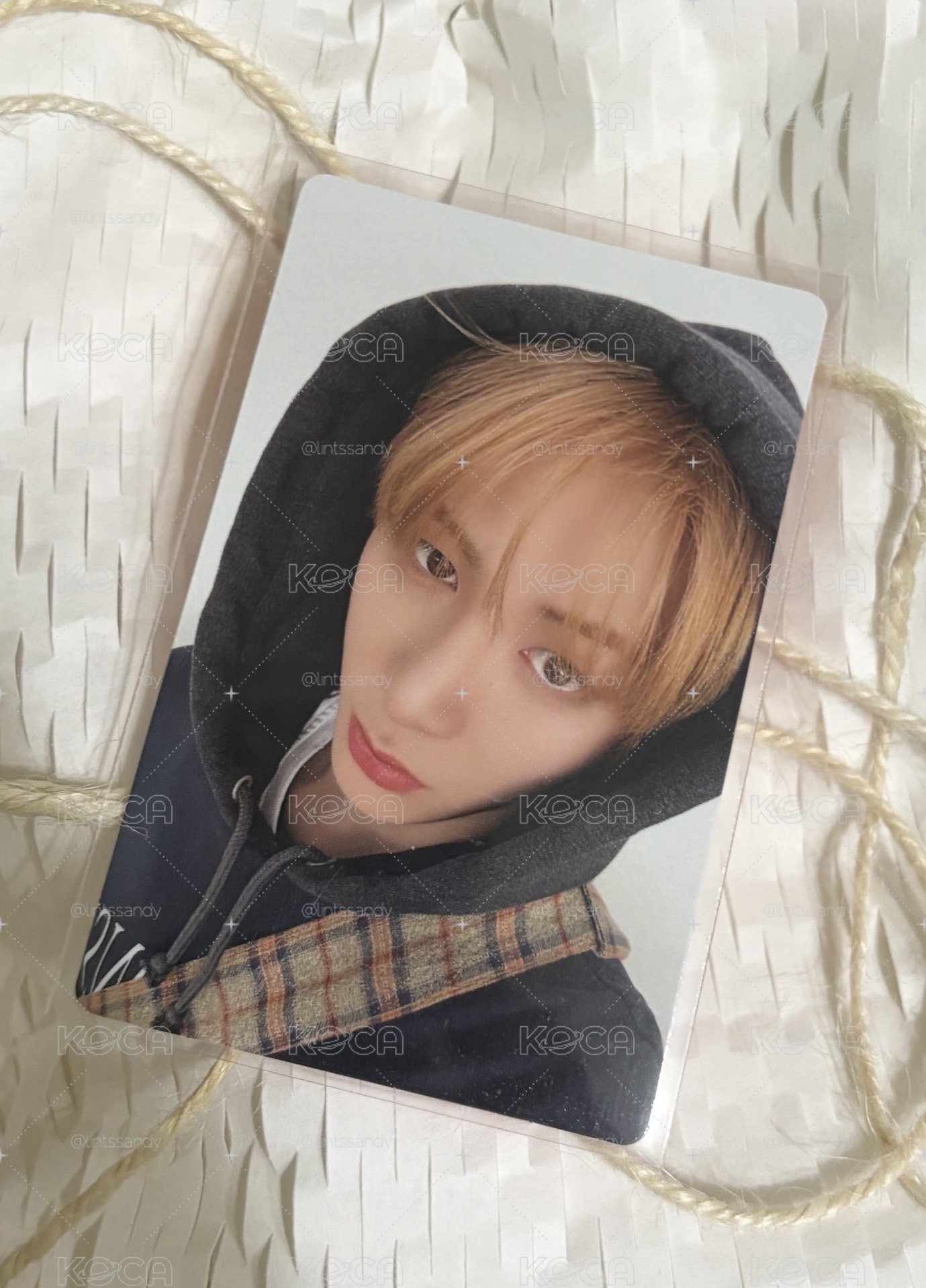 Boynextdoor 小卡
