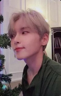 正規11 Vol.2 專輯卡 