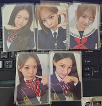 Dearest wm 4.0線下 簽售卡 WM 4.0線下