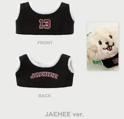 原皮叮特里（全新未拆）