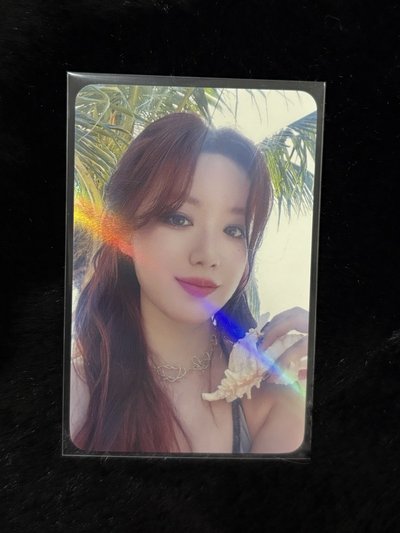 Shuhua I Sway 6.0 海螺🐚