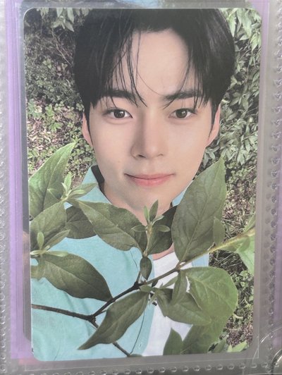 zb1 彬 兩張不拆