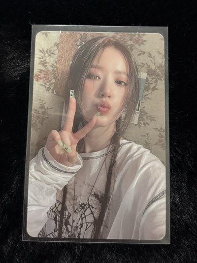 Shuhua I feel 專卡 CAT版🐱