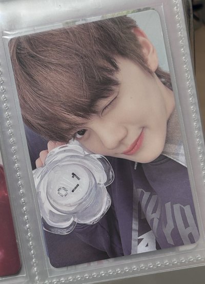 zb1 奎彬 兩張不拆