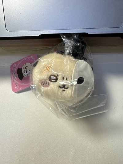 趴趴魔法師傅｜全新現貨 吉伊卡哇