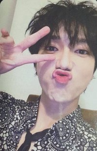 正規11 Vol.2 專輯卡 