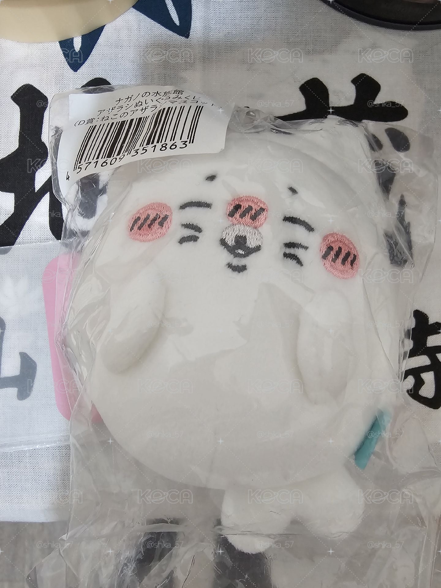 貓耳海豹