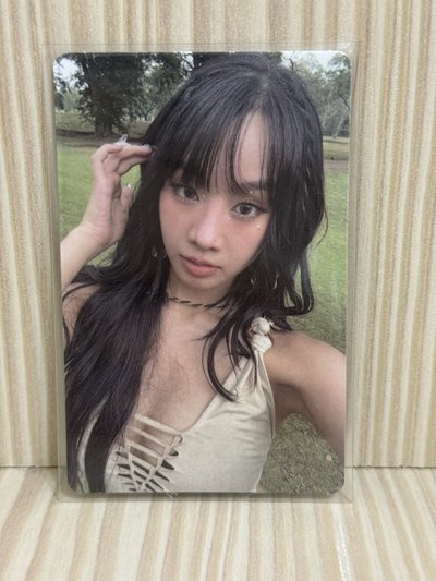 kiss of life natty專卡組x4