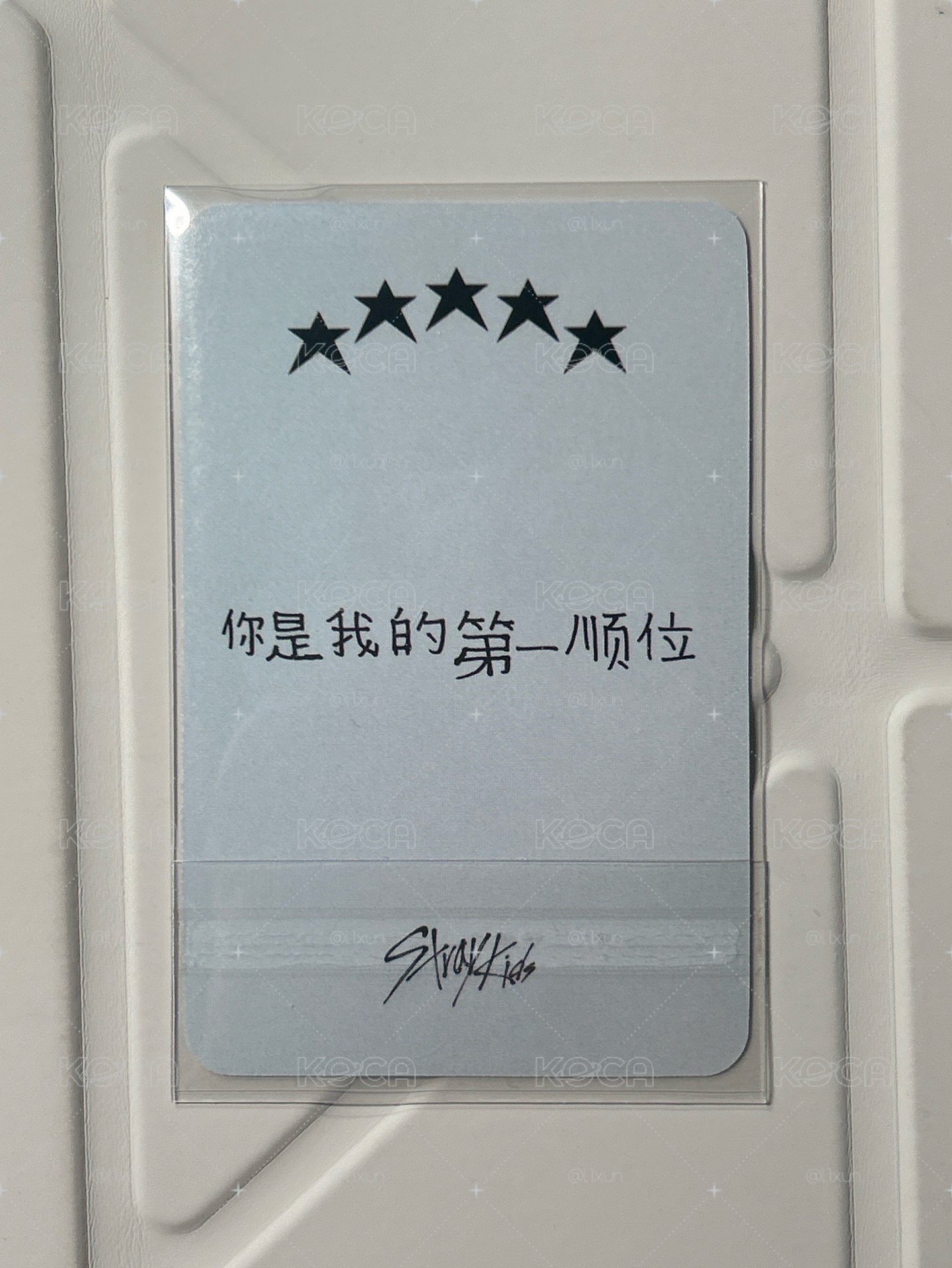 海膽菲 中背