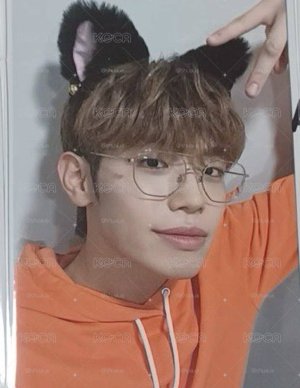 貓耳來 喵🐱