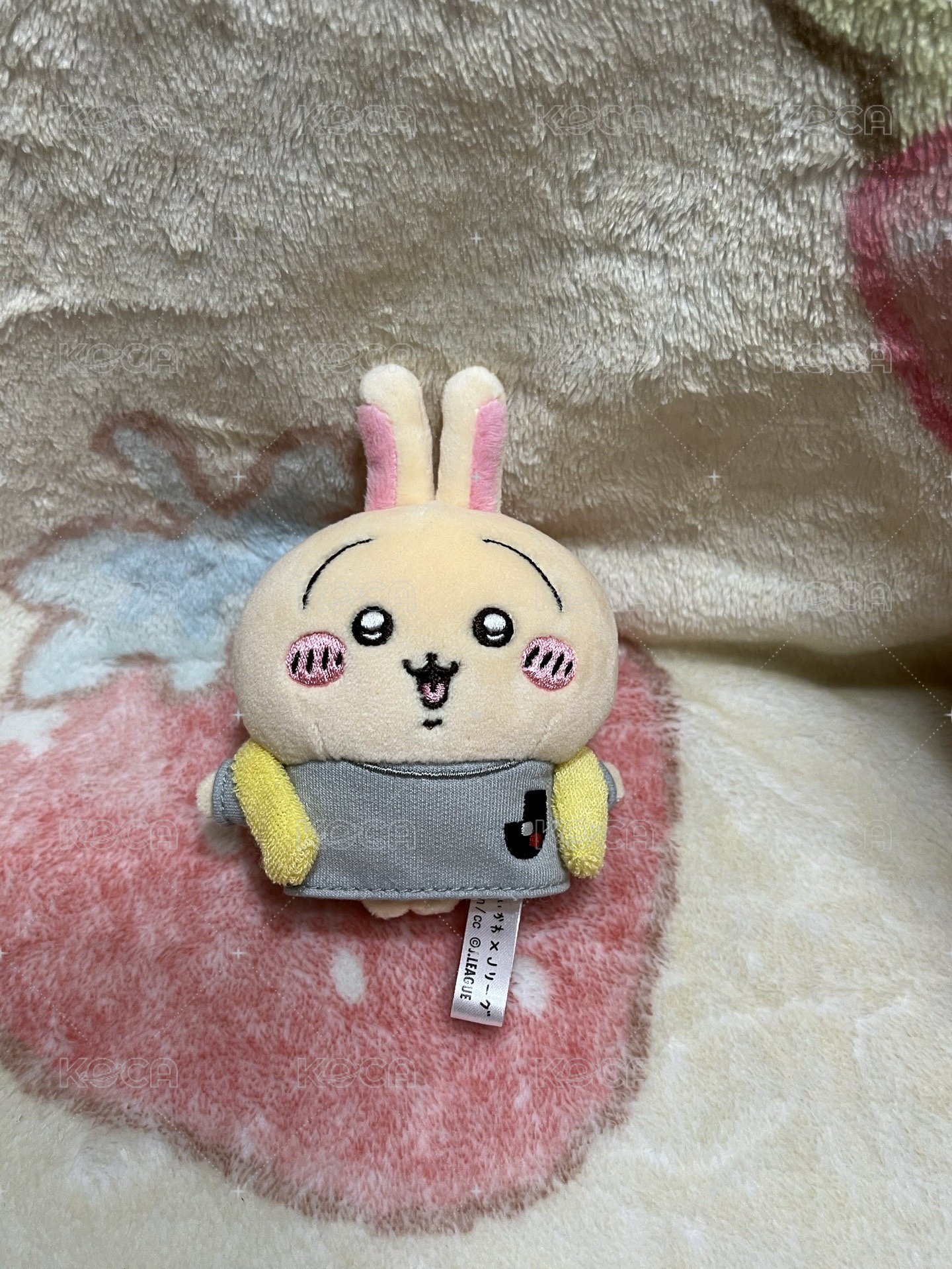 足球兔