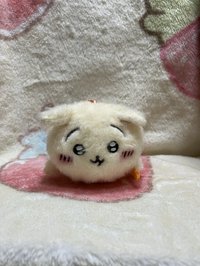 天貓討伐失敗兔