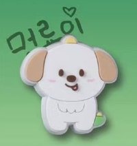 RIIZE X crocs 鞋扣 