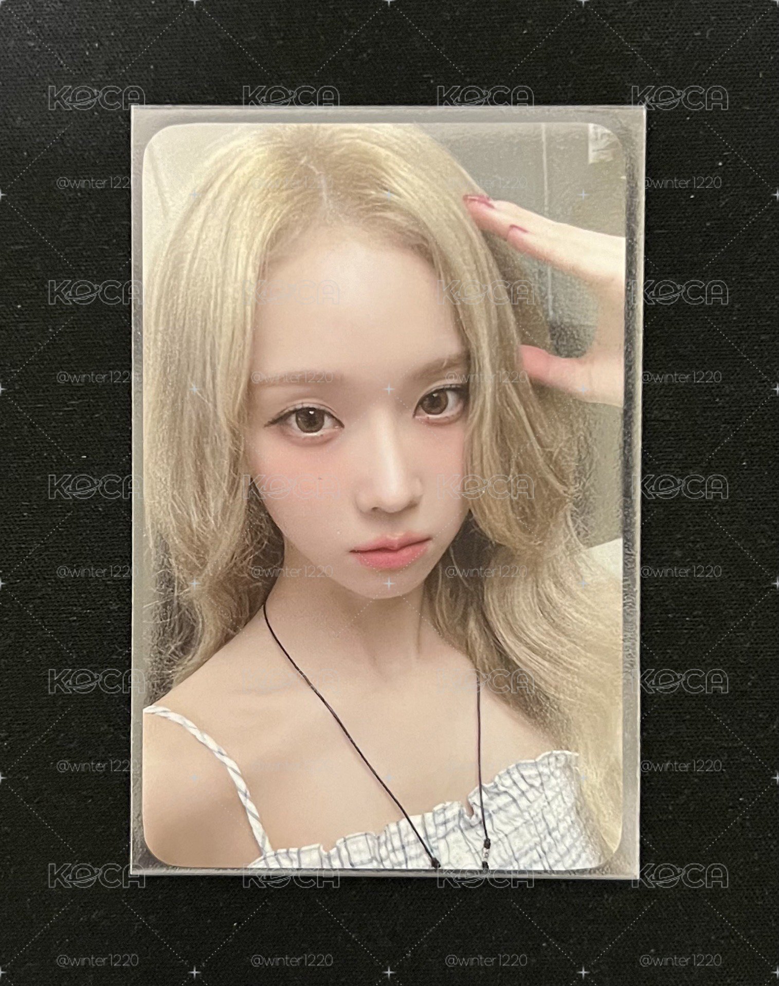 Whiplash el 幸運卡 冬 狗耳冬