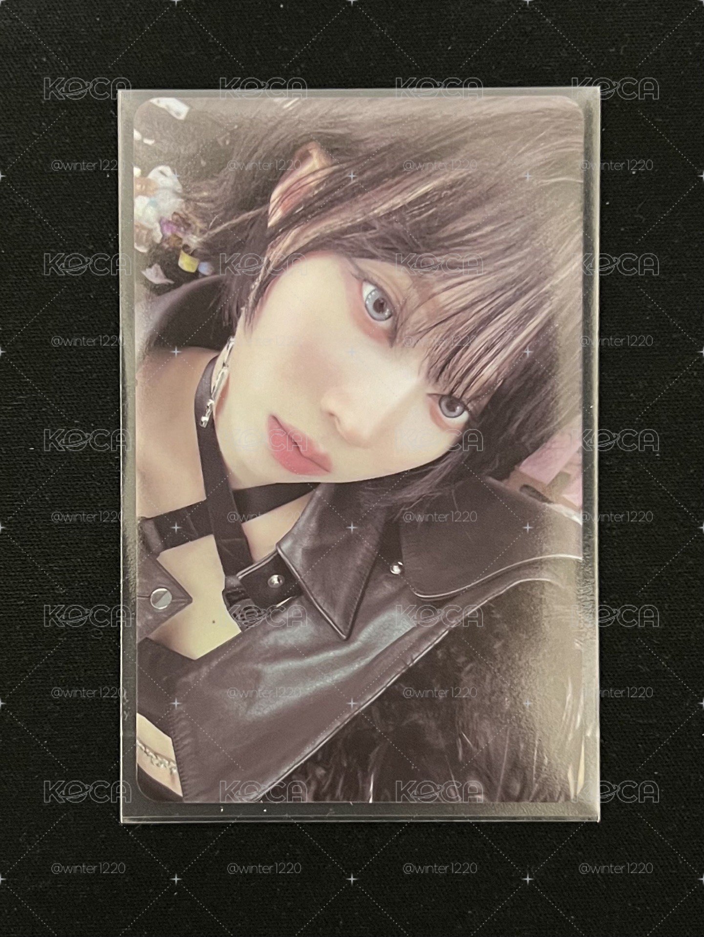 Whiplash kms 特典卡 預售v1冬 上岸冬