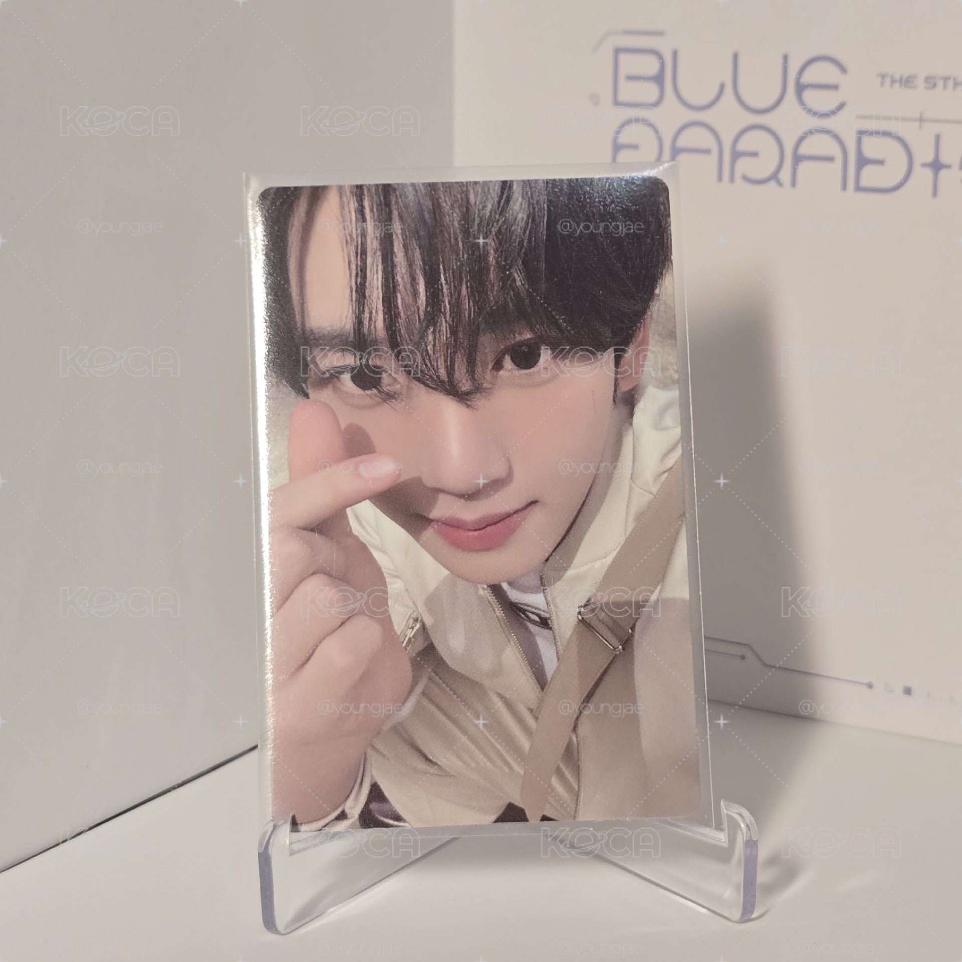 ZB1 韓維辰 迷五專卡