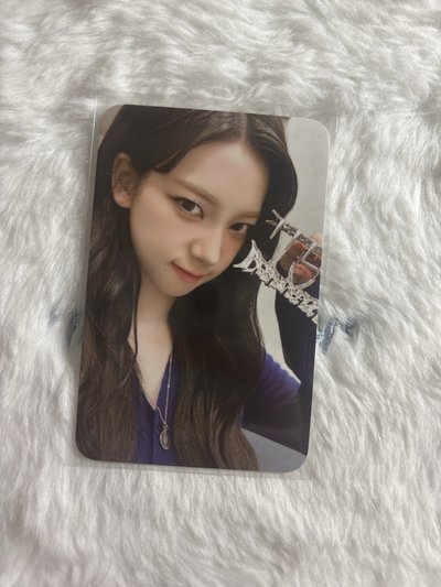 正規一 周邊卡 快閃鯊魚夾柚