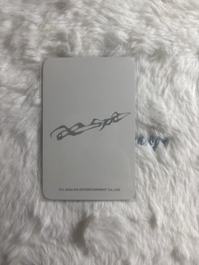 正規一 周邊卡 快閃鯊魚夾柚