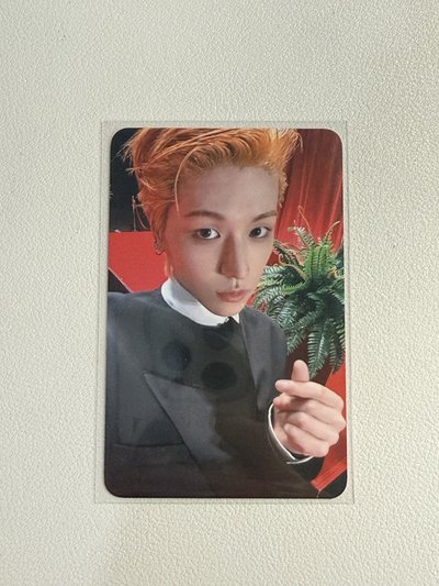 Hollywood action sc卡