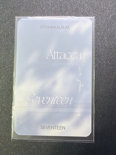 迷九 YZY A 捧花秀