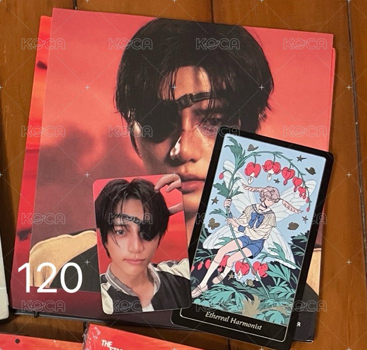 圭已拆全專
