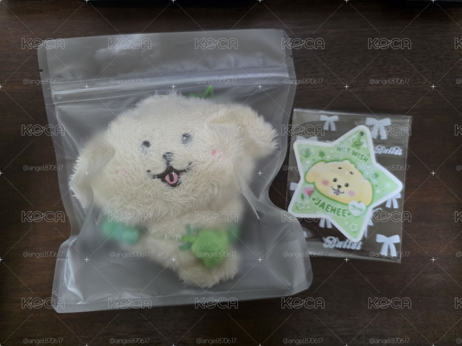 原皮叮特里