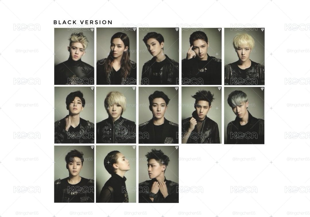 🩷SEVENTEEN mini 1 全專-黑版明信片