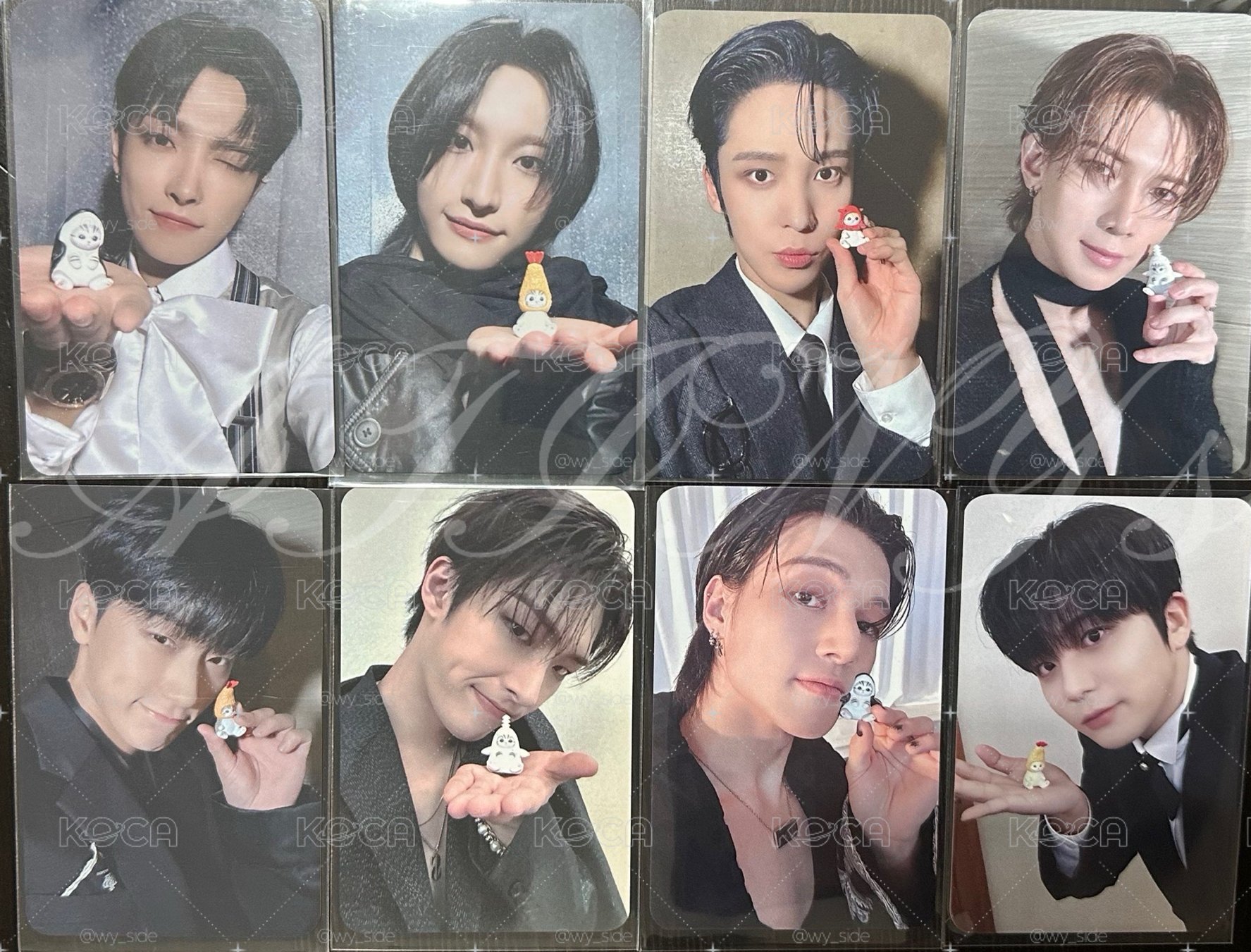 貓福珊迪（8張）