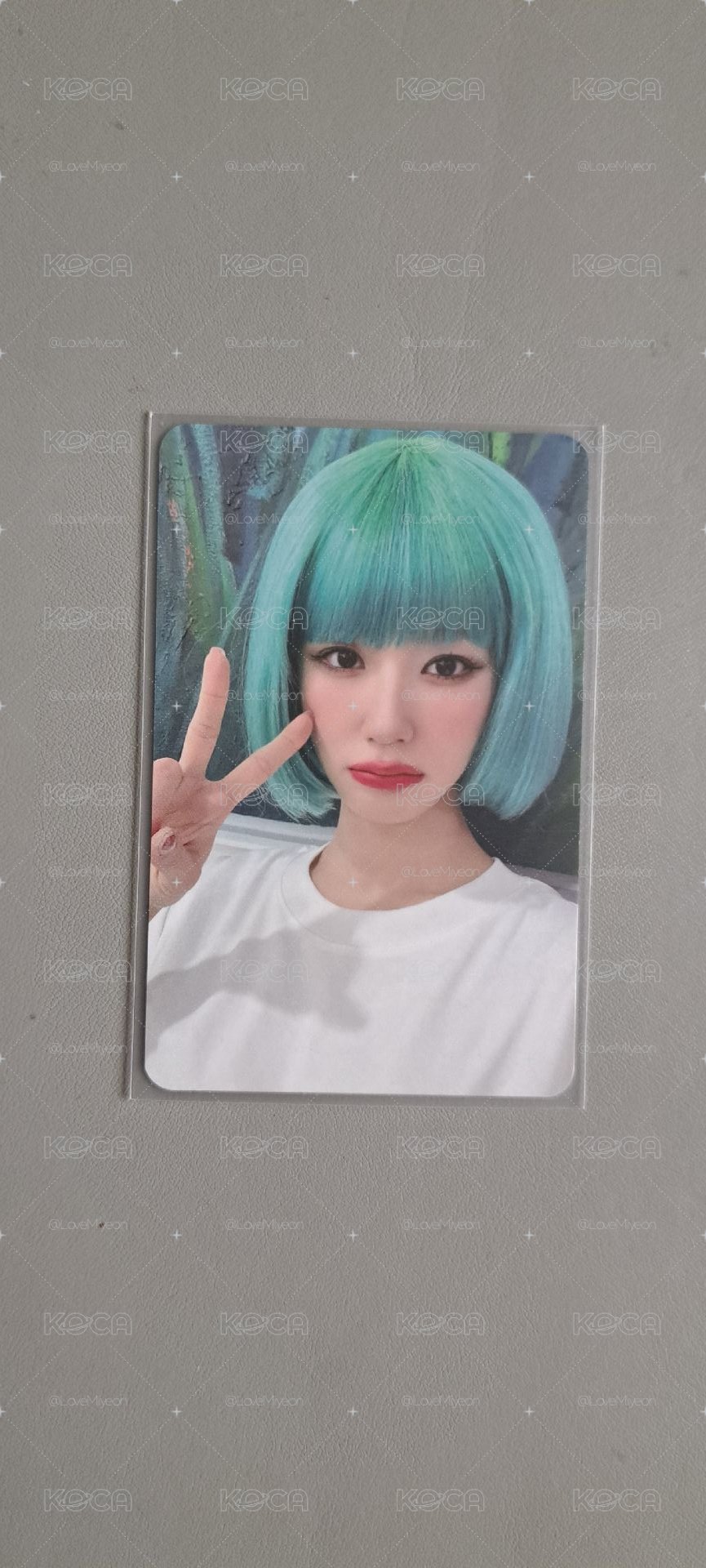 正規二 簽售麵 wife