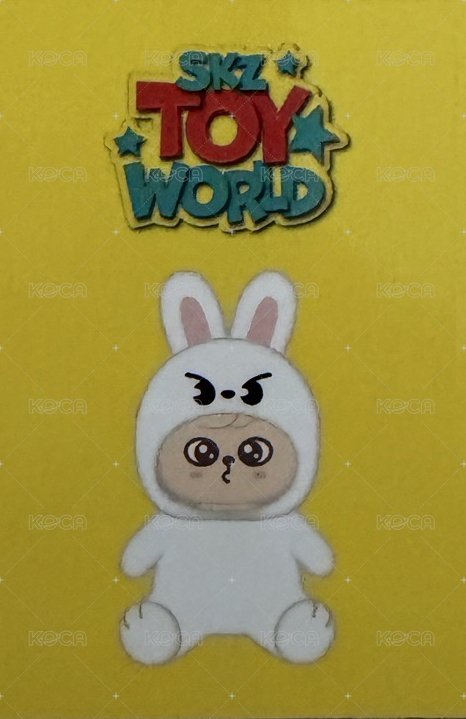 2024 FC 演唱會 DVD / CD 卡 Blu-ray 通常盤 背面