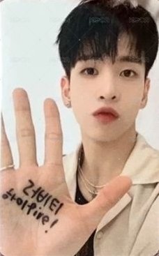 SUN SEEKER 入場卡 / 場限卡 迷你飯咪 背面