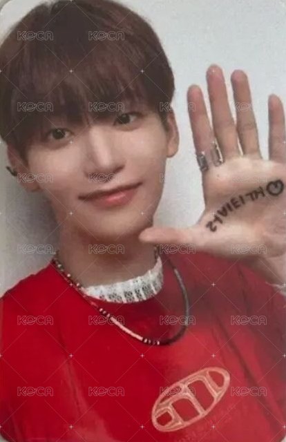 SUN SEEKER 入場卡 / 場限卡 迷你飯咪 背面