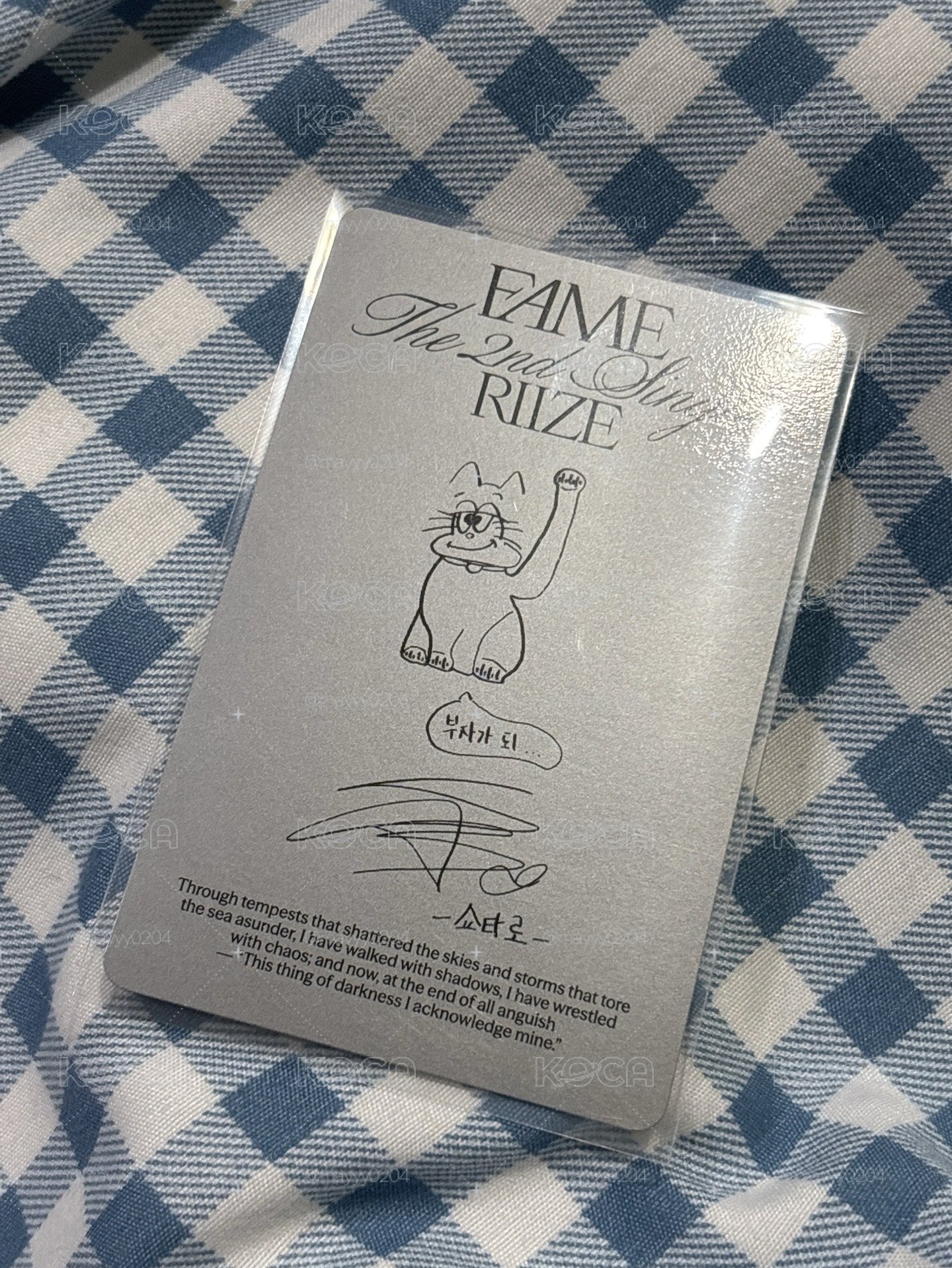 FAME 專輯卡 Smini 將太郎
