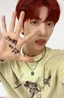 SUN SEEKER 入場卡 / 場限卡 迷你飯咪 背面