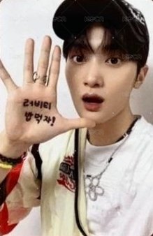 SUN SEEKER 入場卡 / 場限卡 迷你飯咪 背面