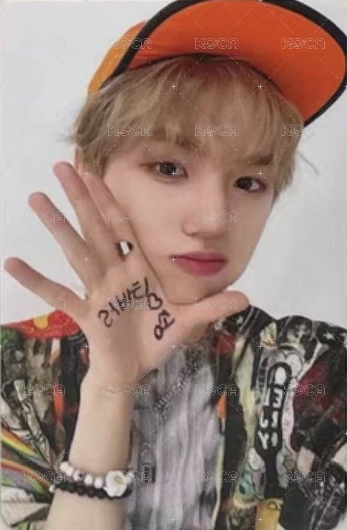 SUN SEEKER 入場卡 / 場限卡 迷你飯咪 背面