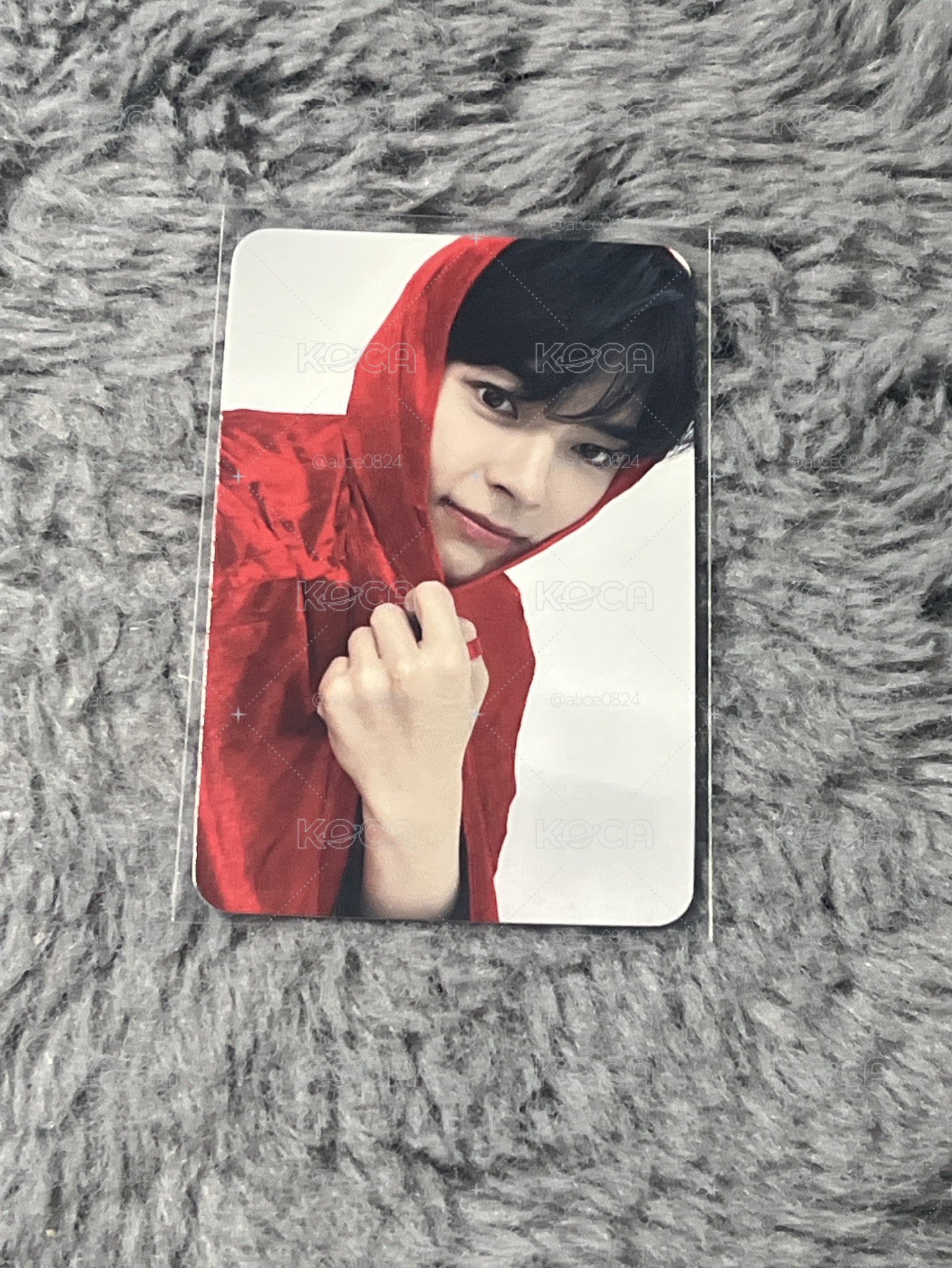小紅帽彬