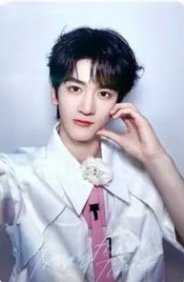 出道戰 演唱會 DVD / CD 卡 